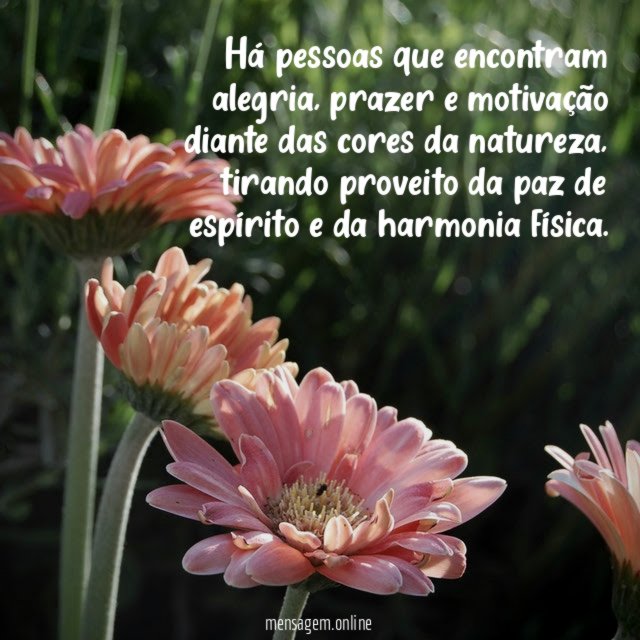 Há pessoas que encontram alegria
