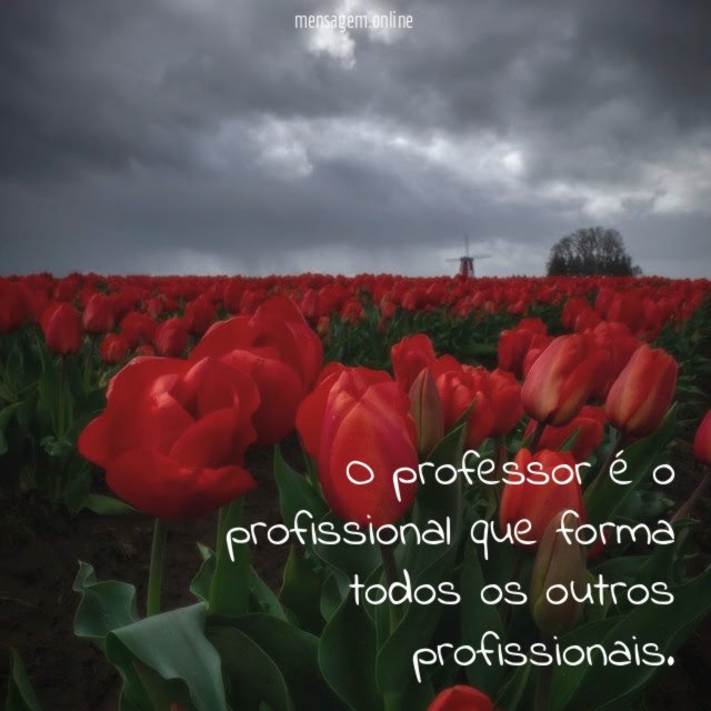 O profissional que forma