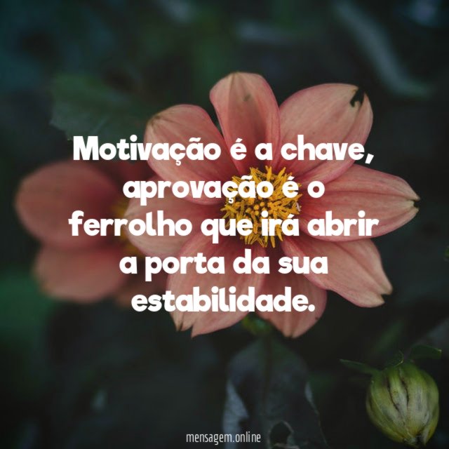 Motivação é a chave