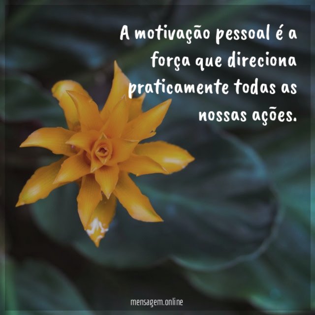 A motivação pessoal é a força que direciona