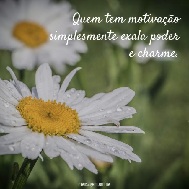 Quem tem motivação simplesmente exala poder e charme