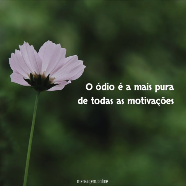 O ódio é a mais pura de todas as motivações