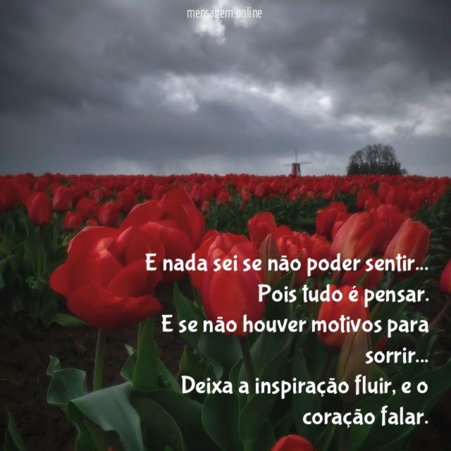E nada sei se não poder sentir