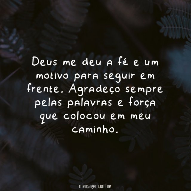 Agradeço a Deus por me manter no caminho certo