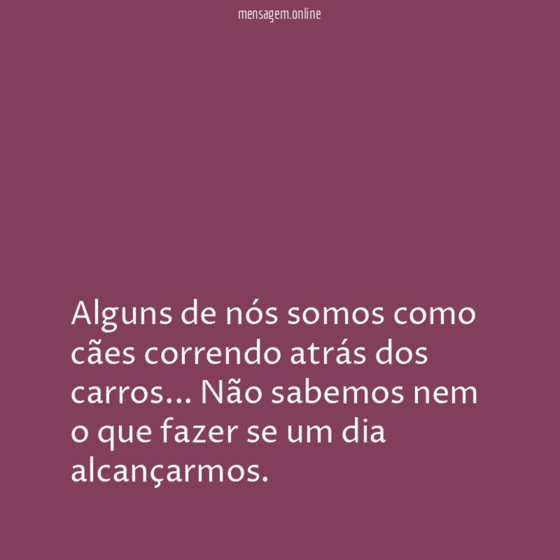 Alguns de nós somos como cães correndo atrás