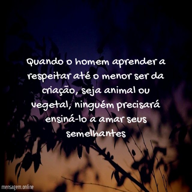 Quando o homem aprender a respeitar até