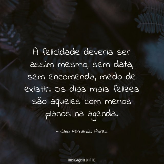 A felicidade deveria ser assim mesmo