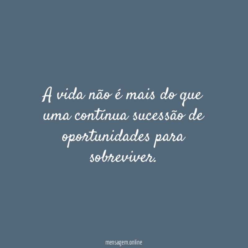 A vida não é mais do que uma