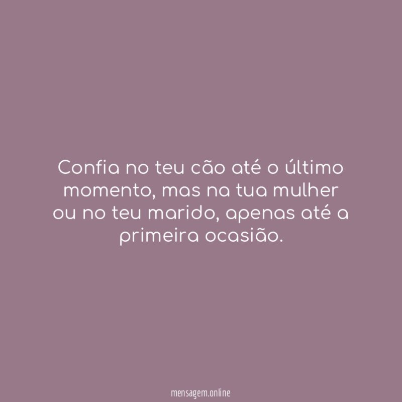 Confia no teu cão até o último momento