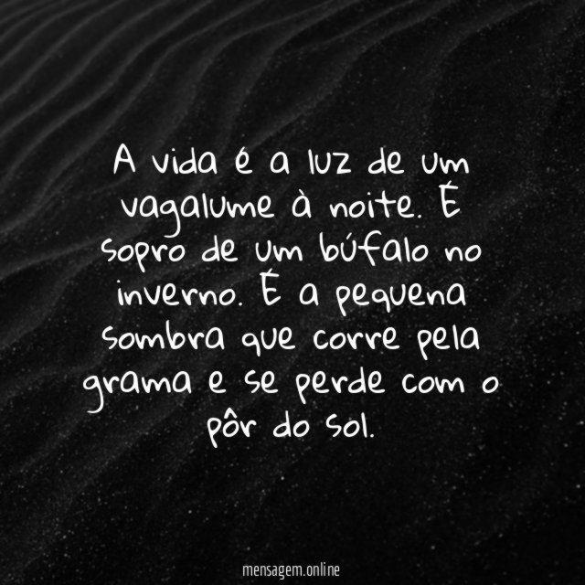 A vida é a luz de um vagalume à noite