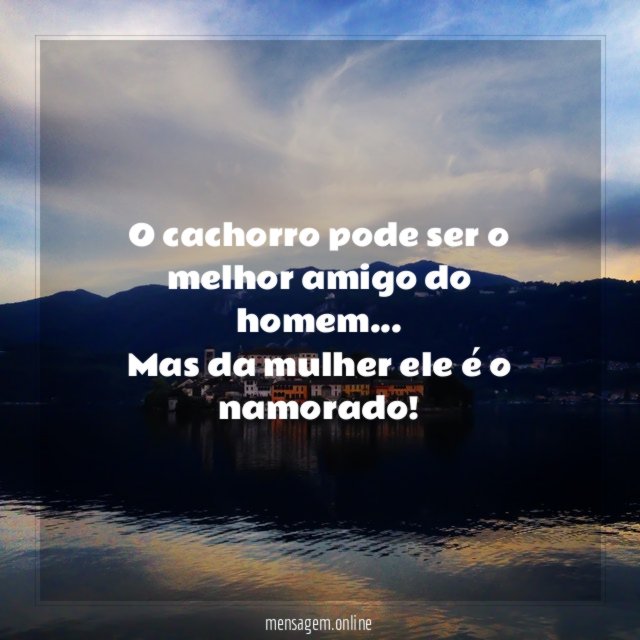O cachorro pode ser o melhor amigo do homem