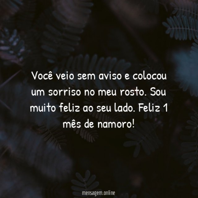 Você veio sem aviso e colocou um sorriso no meu rosto