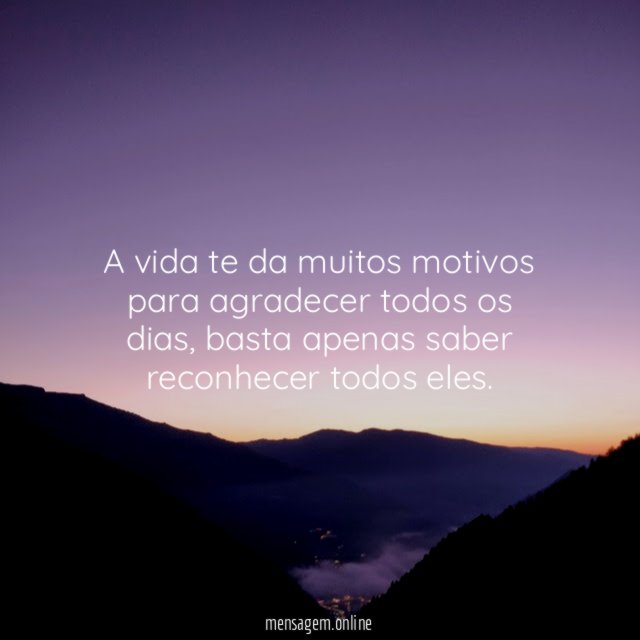 A vida te da muitos motivos para agradecer todos os dias
