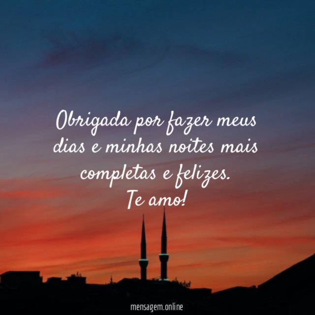 Obrigada por fazer meus dias e minhas noites mais completas e felizes