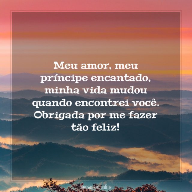 Meu amor