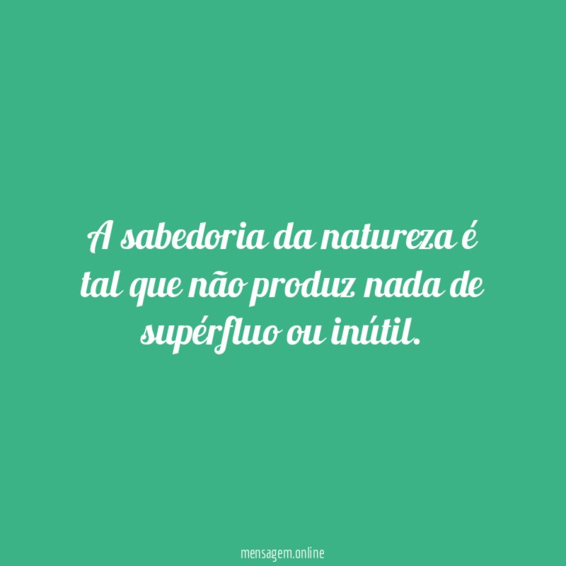 A sabedoria da natureza é tal que não