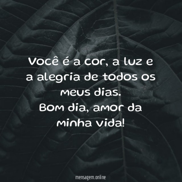 Você é a cor