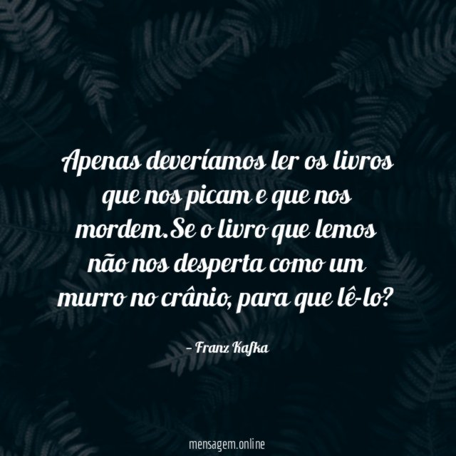Apenas deveríamos ler os livros que nos picam
