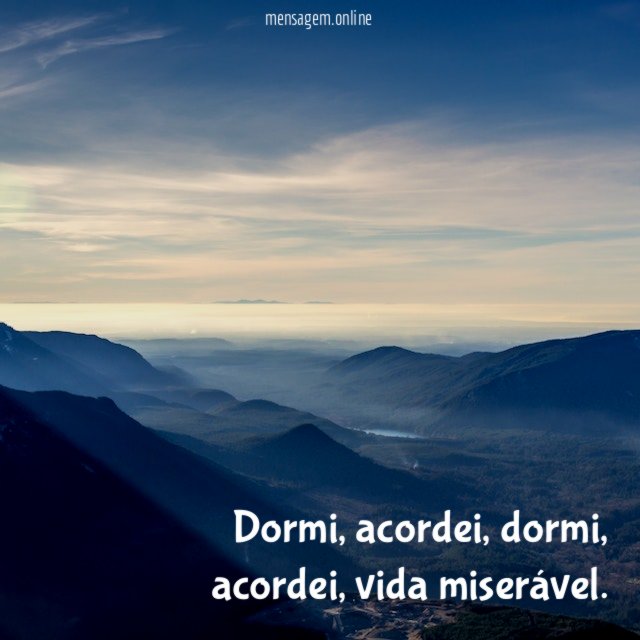 Dormi