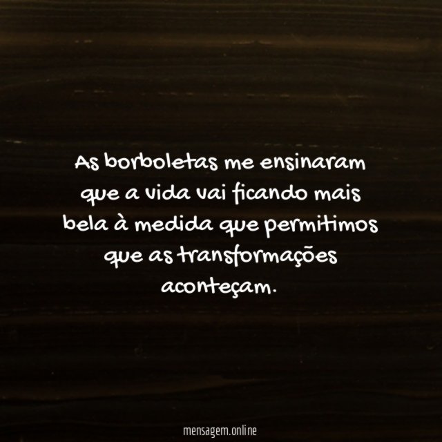 As borboletas me ensinaram que a vida vai