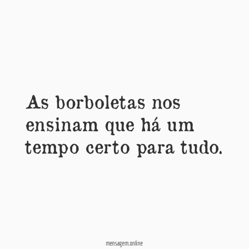 As borboletas nos ensinam que há um tempo certo para tudo