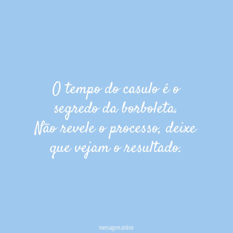 O tempo do casulo é o segredo da borboleta