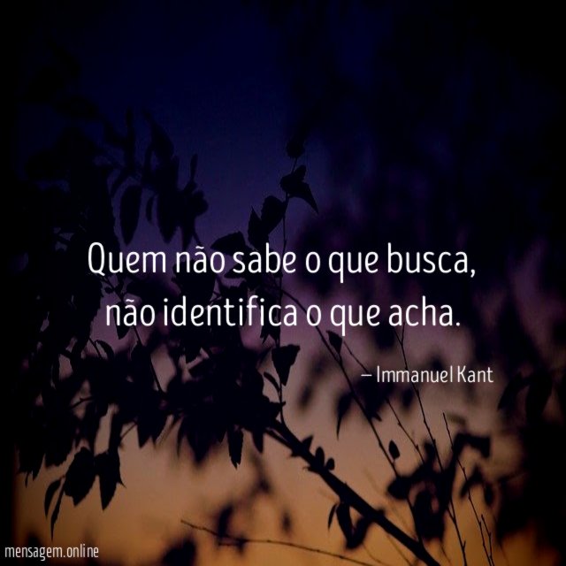 Quem não sabe o que busca