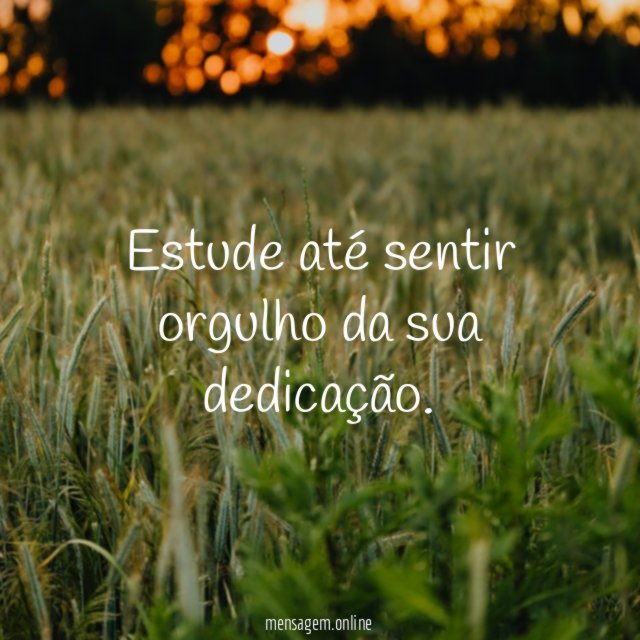 Estude até sentir orgulho da sua dedicação