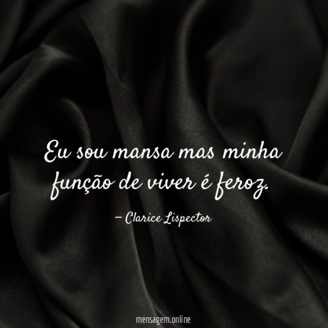 Eu sou mansa mas minha função de viver é feroz