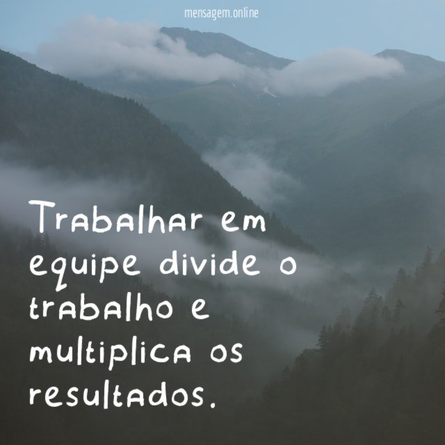 Trabalhar em equipe divide o trabalho e multiplica os resultados