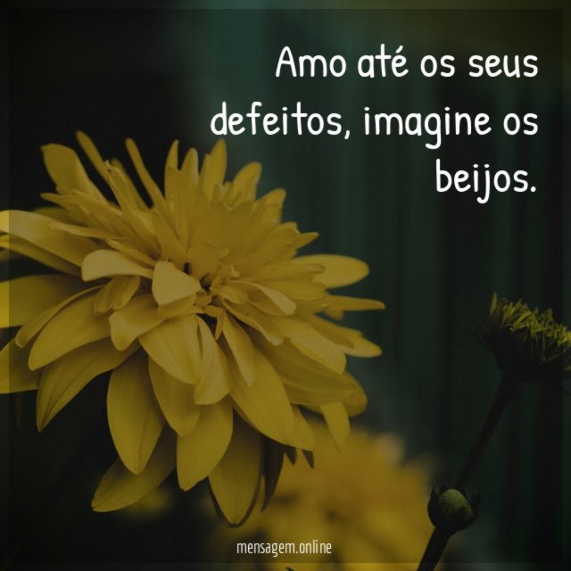 Amo até os seus defeitos