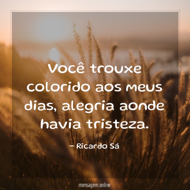 Você trouxe colorido aos meus dias