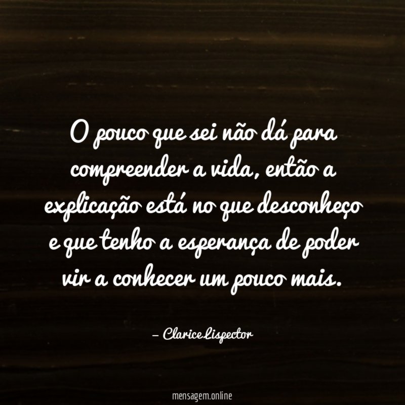 O pouco que sei não dá para compreender a vida