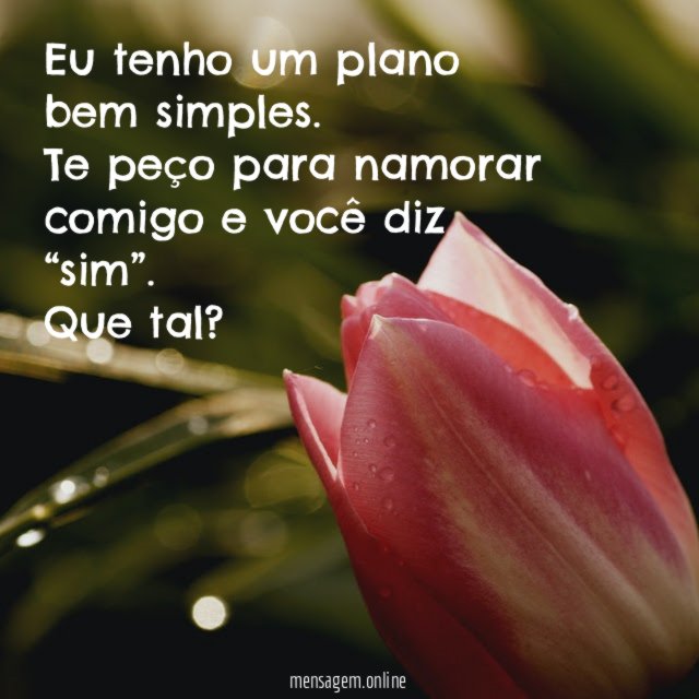 Eu tenho um plano bem simples