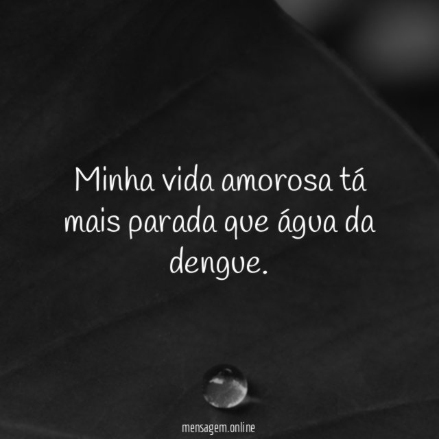 Minha vida amorosa tá mais parada que água da dengue