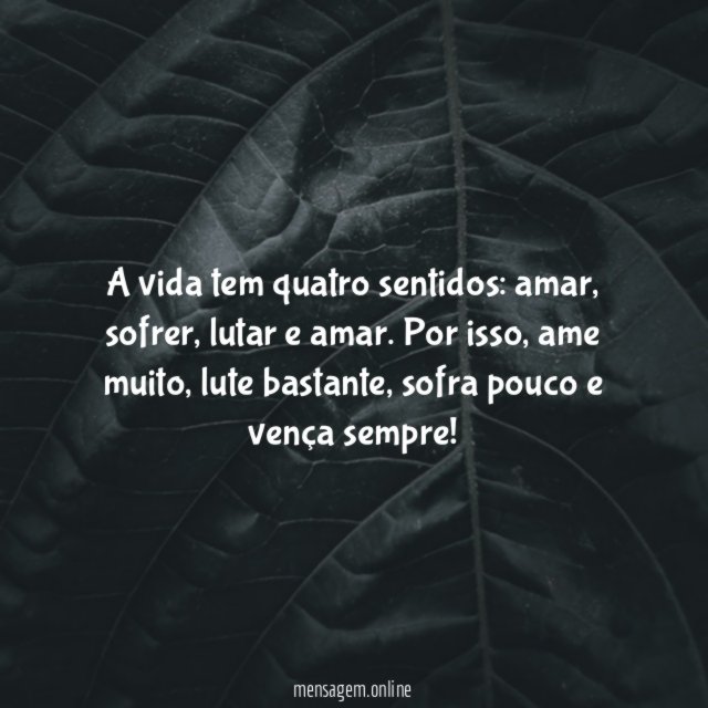 A vida tem quatro sentidos