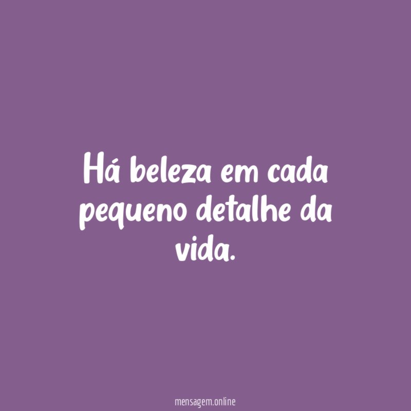 Há beleza em cada pequeno detalhe da vida