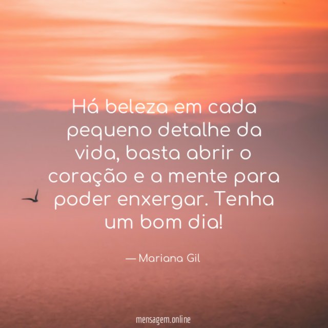 Há beleza em cada pequeno detalhe da vida