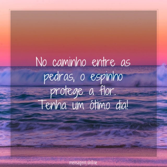 No caminho entre as pedras
