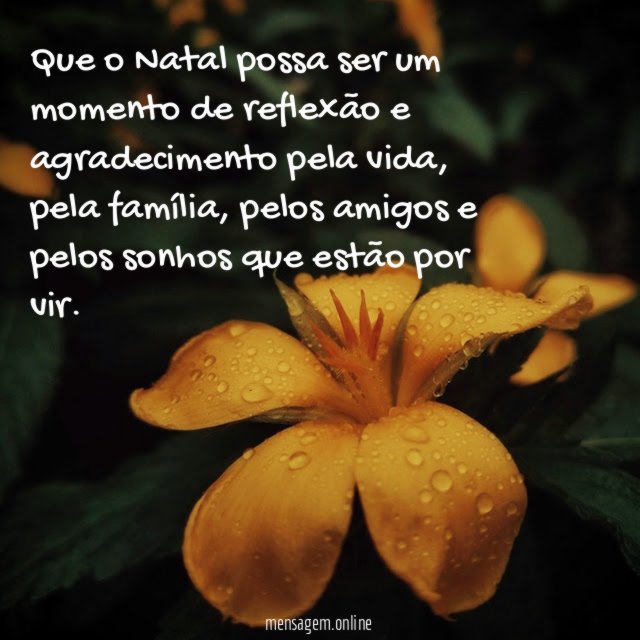 Que o Natal possa ser um momento de