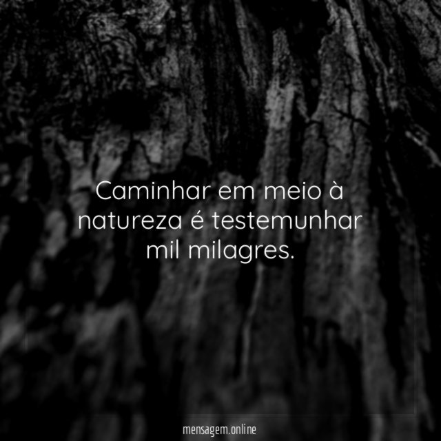 Caminhar em meio à natureza é testemunhar mil milagres