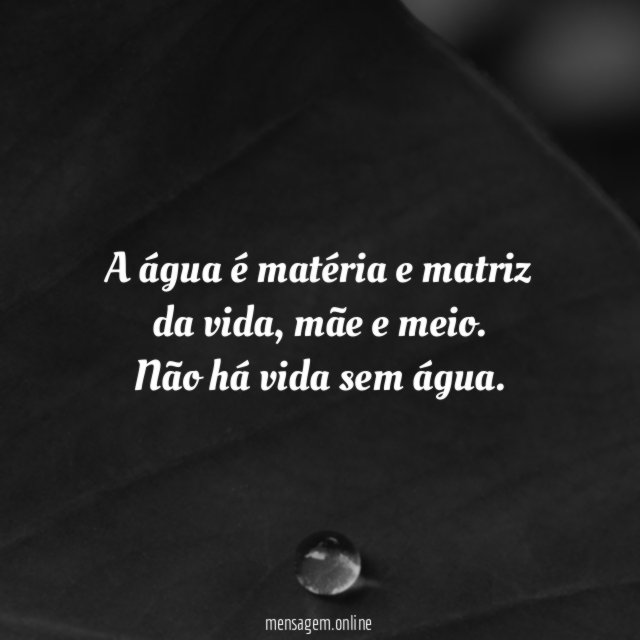 A água é matéria e matriz da vida