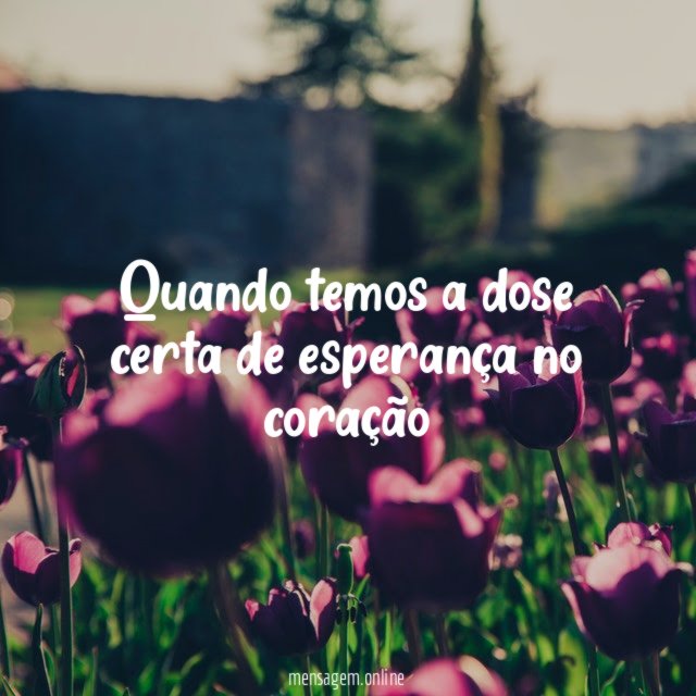 Quando temos a dose certa de esperança no coração