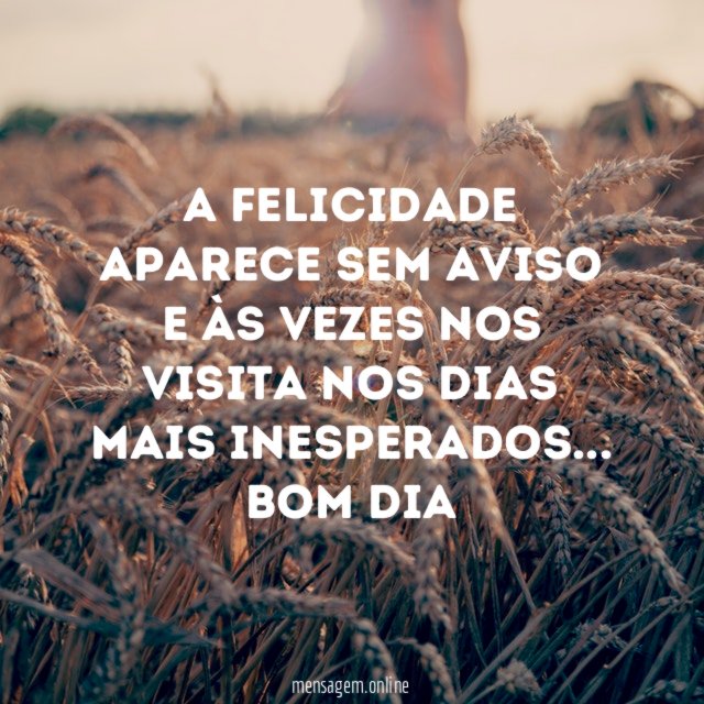 A felicidade aparece sem aviso e às vezes