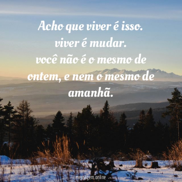 Acho que viver é isso