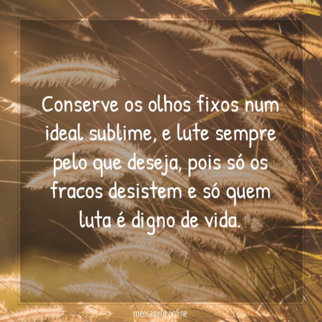 Conserve os olhos fixos num ideal