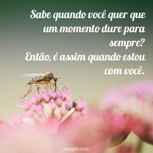 Sabe quando você quer