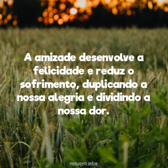 A amizade desenvolve a felicidade
