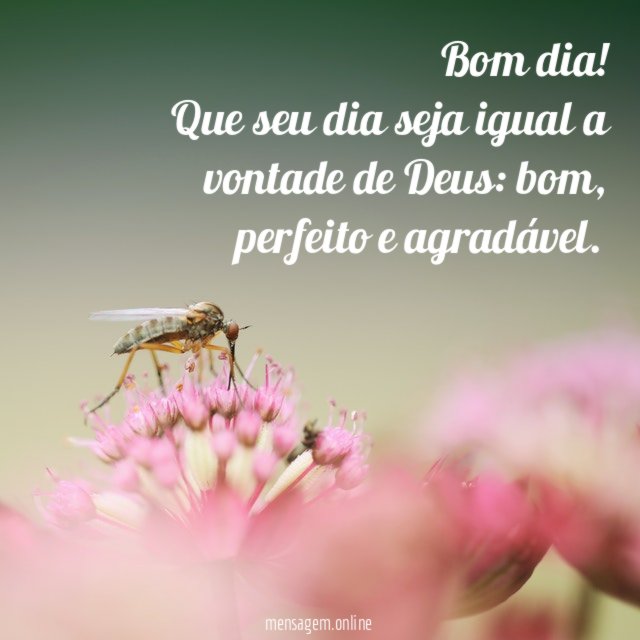 Que seu dia seja igual a vontade de Deus