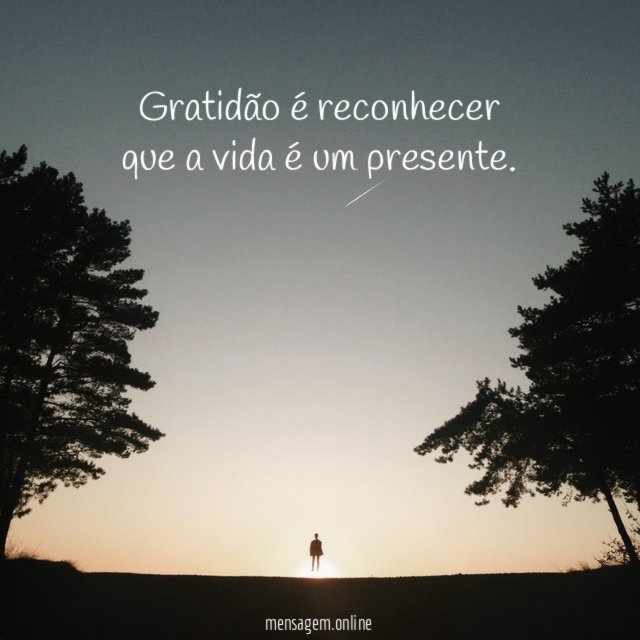 Gratidão é reconhecer que a vida é um presente